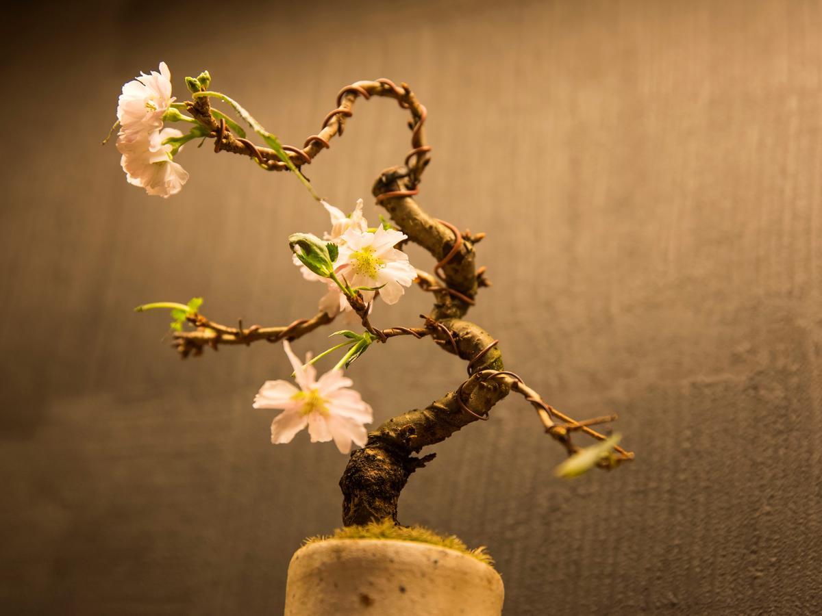 Uan 4* Kanazawa